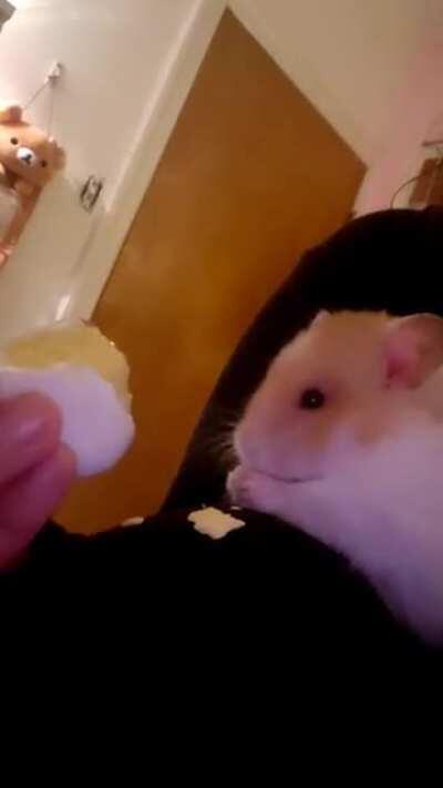 someone is a big fan of egg 👀