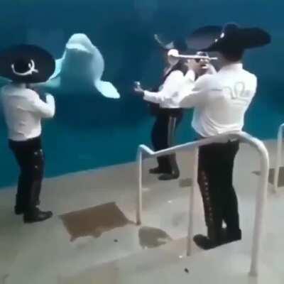 Joe making Hawaii Part II