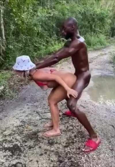 Doggie in the middle of the road