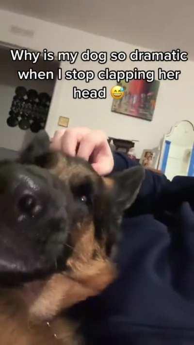 I’ve never seen such a dramatic look 🥹🤣