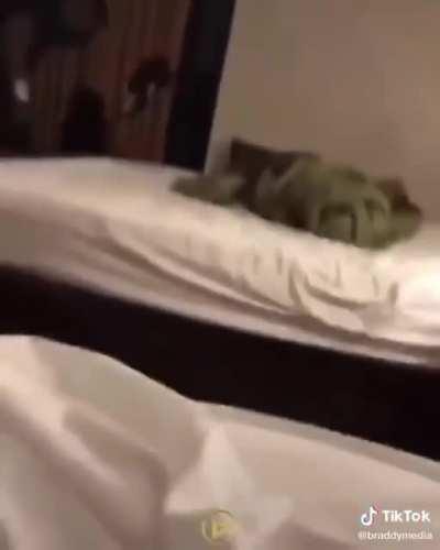 Husband demonstrates that wife has delusions of grandeur. And that his compliance doesn't stem from fear of her.