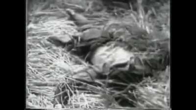 AMANHÃ SABEREMOS SE DEUS RETORNOU OU SE O ODA TROLOU.