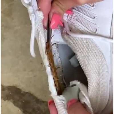 Fits this sub like a glove.