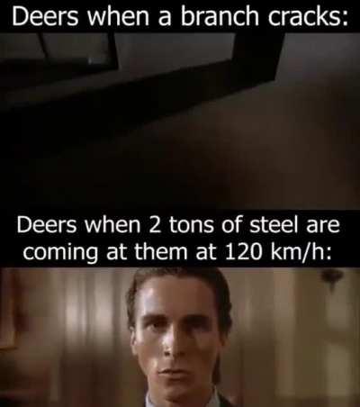 Deer be like: