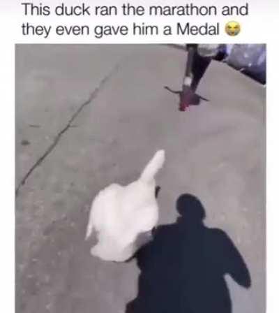 what my phone thinks when it autocorrects my angry texts