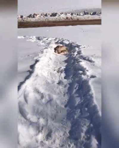 was nice to snow you but i miced go now