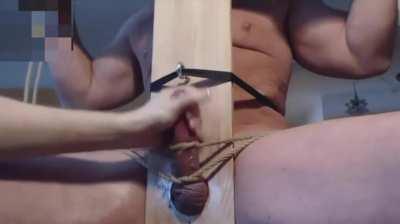 Perfect_Match | Strapped Up Against A Board And Used Till He Squirm And Screams Cumming