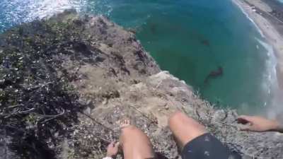 NO AMIGOOOOOOOOOO D: