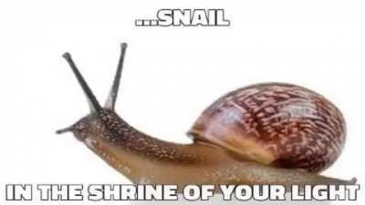 🐌