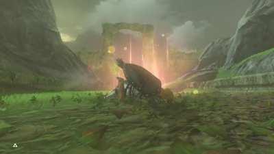 I'm just trying to get my memories back. Can't have shit in Hyrule.