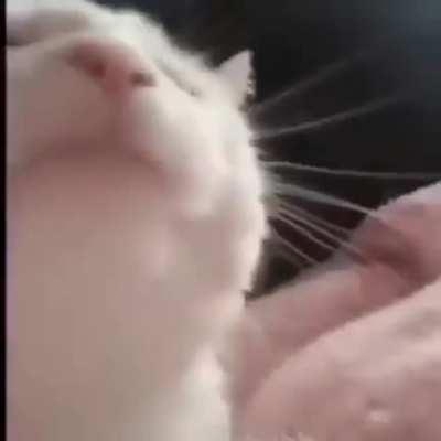 Me after hearing the intro music