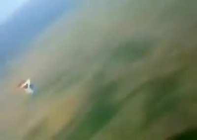 RIP Sonic, 12.13.2022/13.12.2022 (depends who is European and who's American)