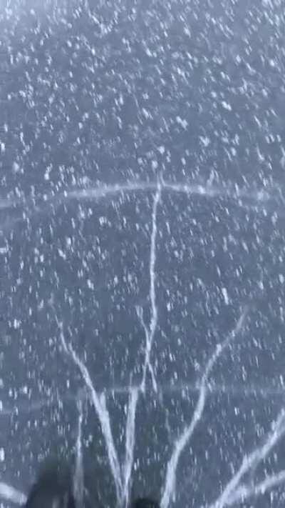 Tread lightly and move quick!