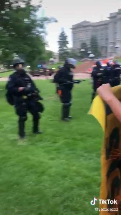 Police rip sign out of peaceful protester’s hands and pepper spray them