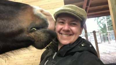 My huge Irish horse likes to lick me