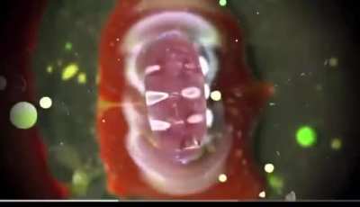 Cymatics in water looks alive