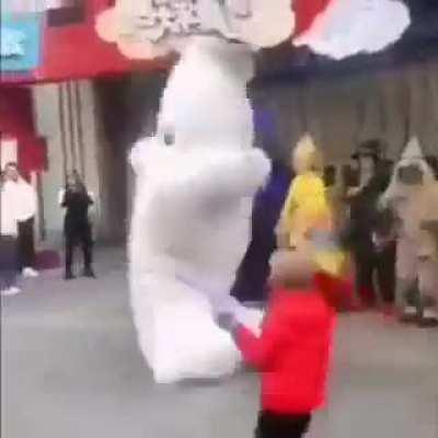 Cat compilation #284