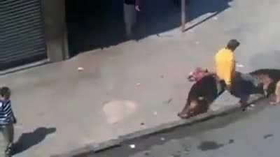 Throws bricks at dogs and gets mauled