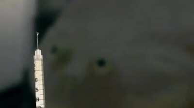 It is Wednesday my dudes