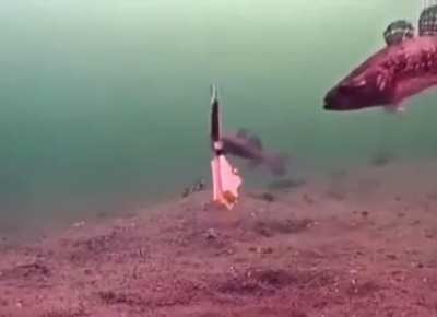 NOOO, HEAVY, DON'T!!!