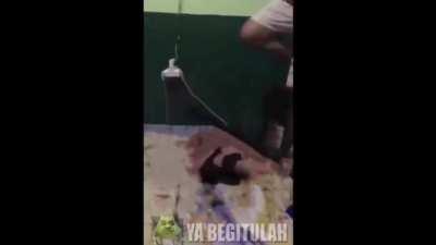 The celebration beyond Earth