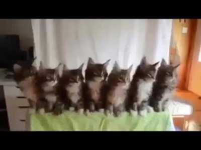 Feliz fim de semana!