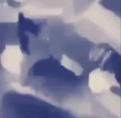 me after the lobotomy