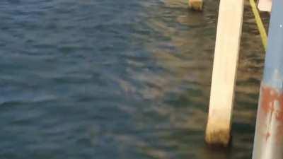 When you prick wrong rope to bungee jump off a bridge