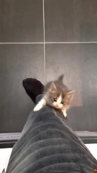 I think Jeanie will like this