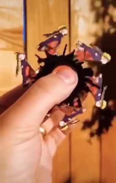 When it spins at the perfect time