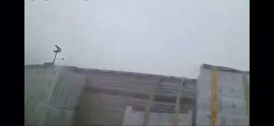 Who is the stupid one ?