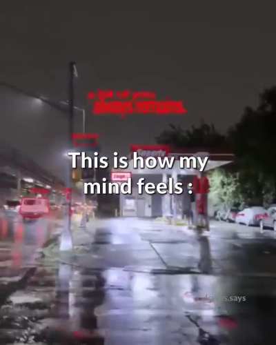 The mind of an intj put into words