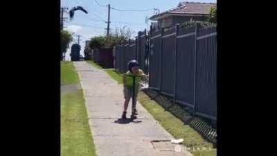 Lil dude was scooting for his life 🤣