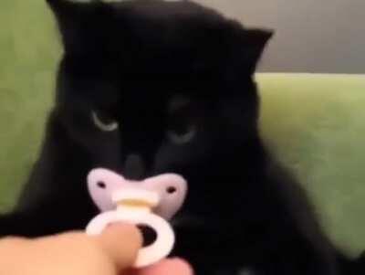 Mi pana Miguel acepto el chupo, se le ve bastante peruano