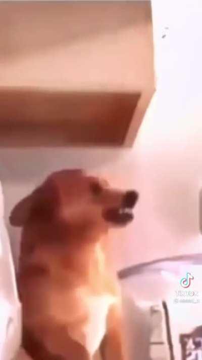 Bruce talkin his shit on COD be like!