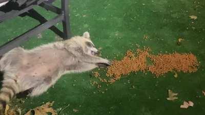 We’ve all been there buddy...