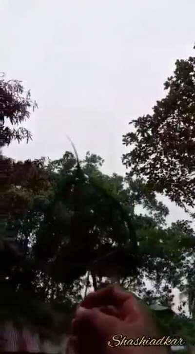 Everyone's a gangsta, until the real gangsta arrives. Happy Birthday NaMo