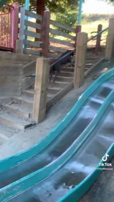 This guy is sooo great 🤗