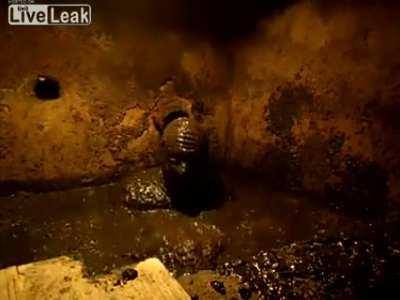 Man takes a bath in a septic tank