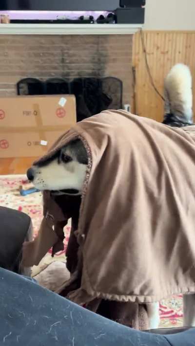 Hildi and Stinky Bear