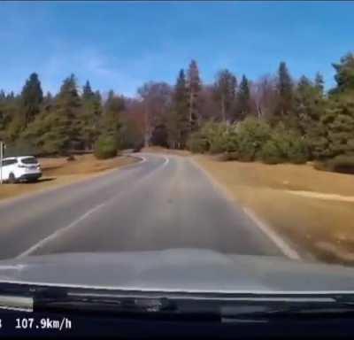 Vitieză şhi preşhizie