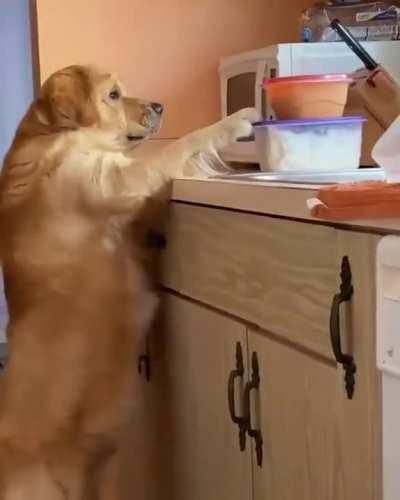 To steal some food