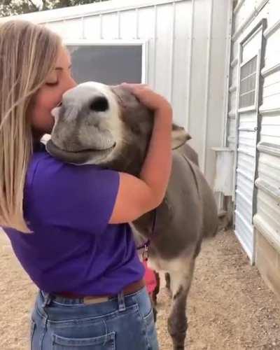 Любовь это...