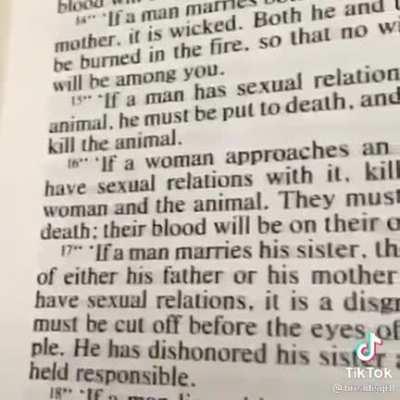 For the medevil furry