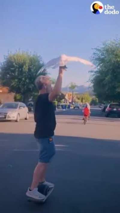 Let’s go to Home Depot!