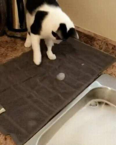 What the... Oh shit! What... OH FUCK!