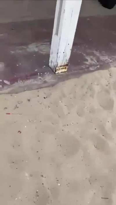 Documentation of the massacre that Hamas carried out at Zikim beach near the border with Gaza. Inside the toilets, the sights are shocking.  Innocent civilians, including a 17-year-old couple who were camping there, were massacred just for being Jews.  Th