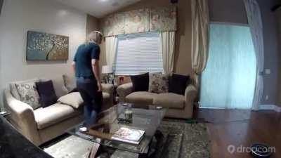 How to say 'Fuck you' to your owner as a dog