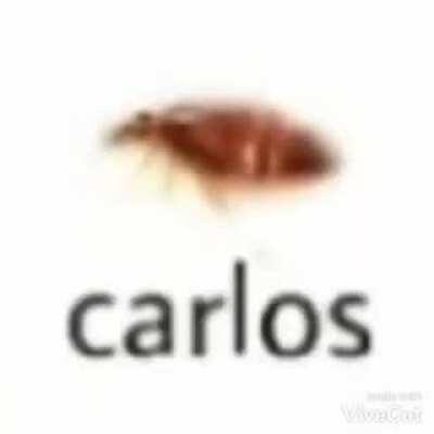 carlos