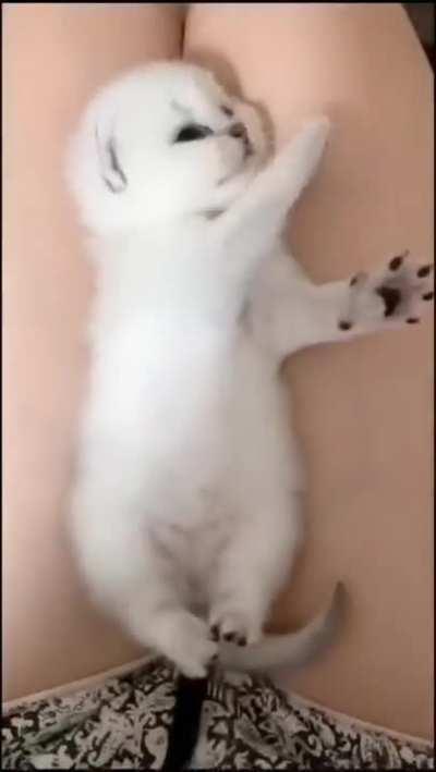 Good morning so to speak